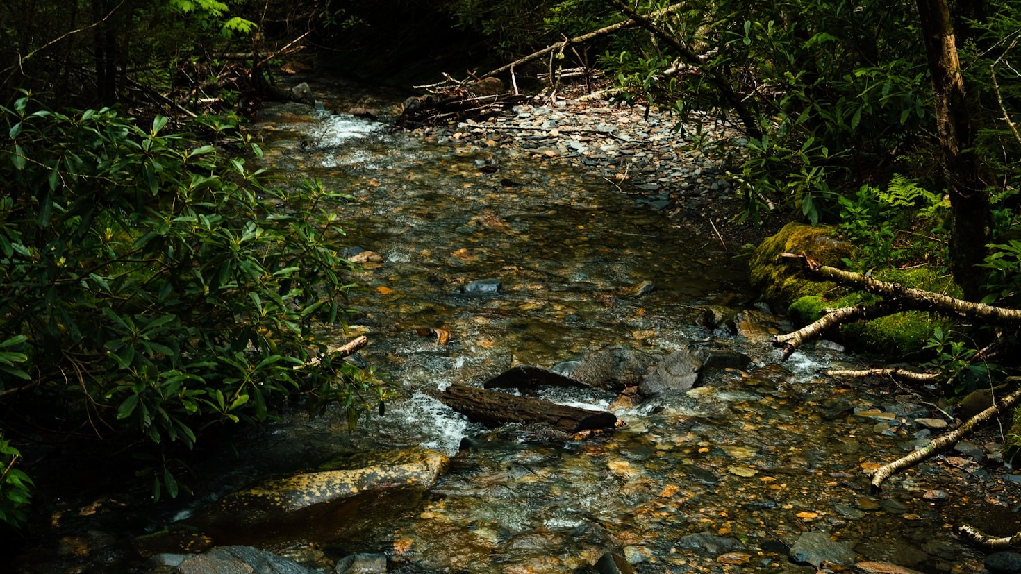 Cinco Motivos para Visitar Janela da Natureza