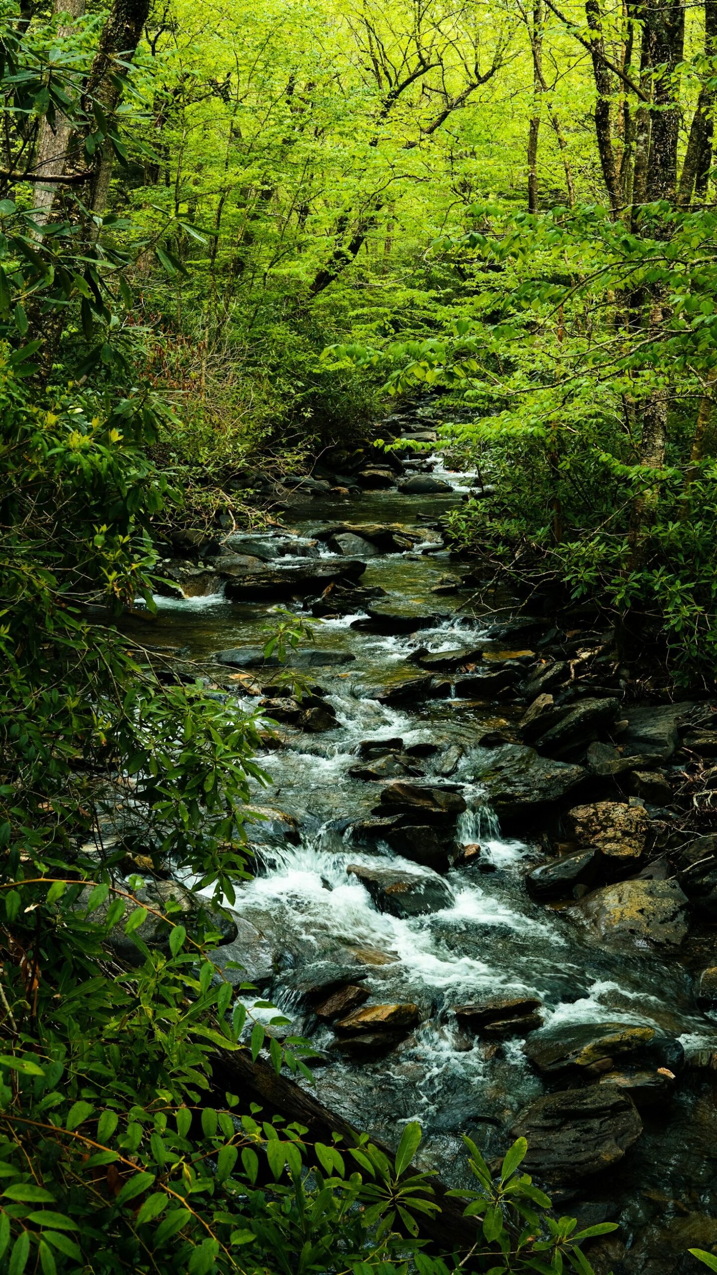 Experiências Personalizadas em Cada Visita